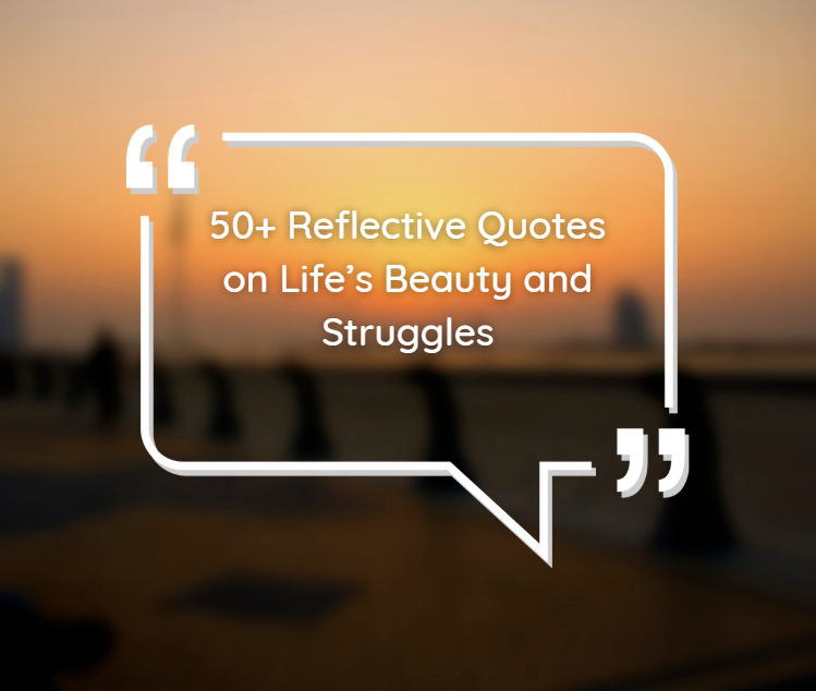50+ Reflective Quotes on Life’s
